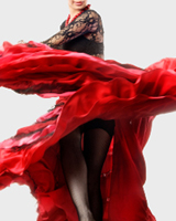 Основы танца фламенко